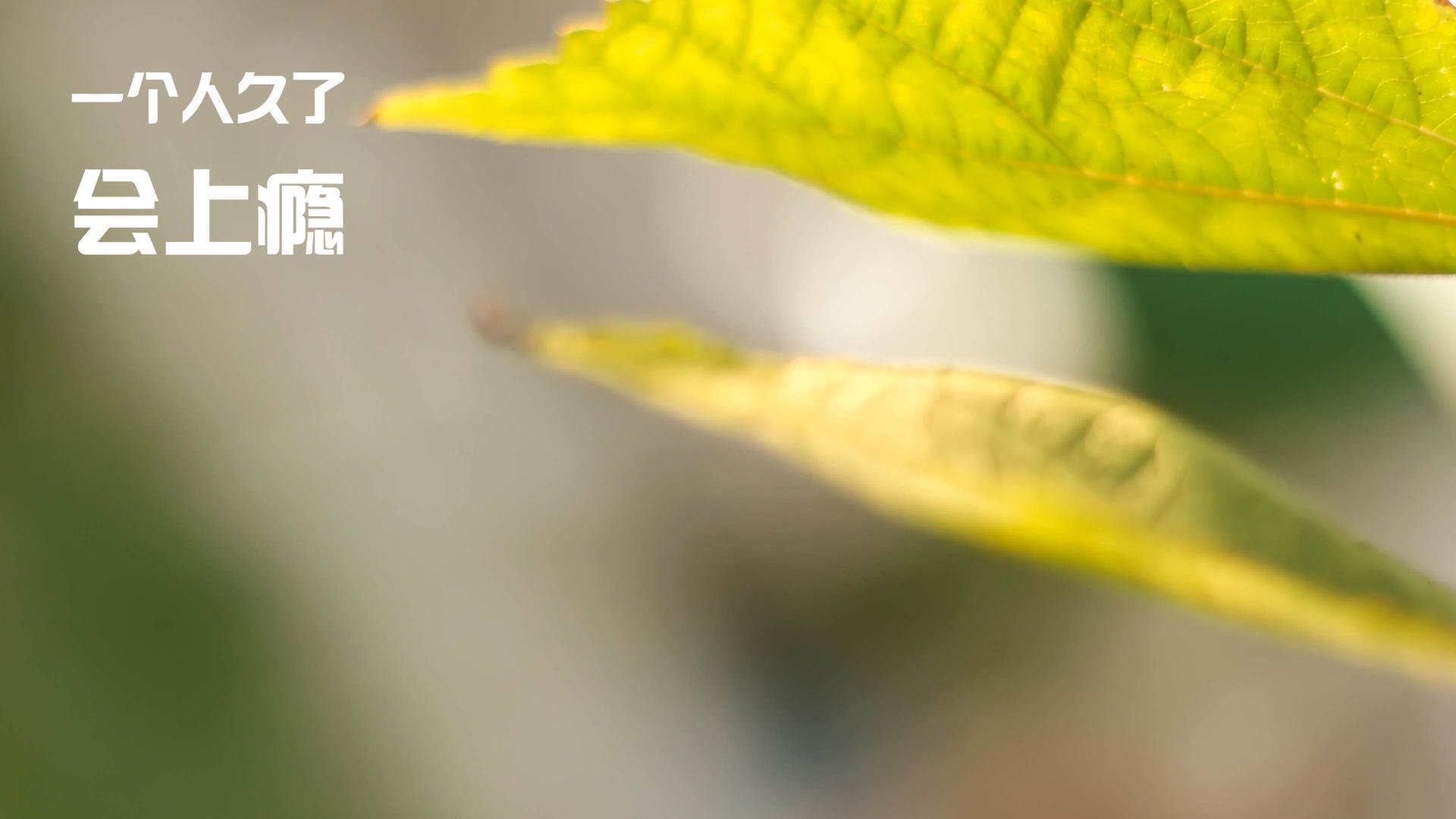 女篮备战细致入微目标直指世界舞台更高荣誉，女篮项目