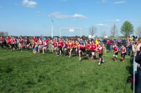 开云官网登录-青少年体育锻炼促进策略与实践，青少年体育锻炼方案