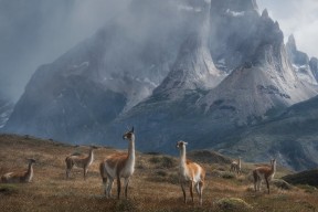 开云体育官方网入口-图赫尔强调团队配合，造就胜利，图赫尔助教团队