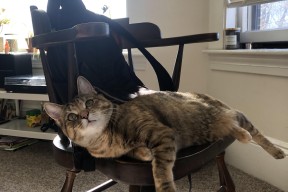 kaiyun开云·官方网站-国家队长期缺乏技术分析团队支持，国家队队长有什么用