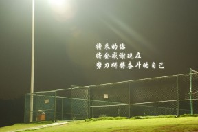 开云体育下载官网-意甲球队数据分析提升中场组织效率和传球成功率，意甲球场各球队球场