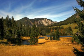 开云·体育官网APP下载-山西龙狮贯彻以快制快原则形成节奏压制