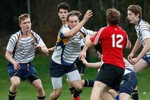 开云体育官方网入口-新加坡队在国际乒联混合团体世界杯中的稳健表现，新加坡乒乓球世界排名