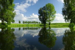 kaiyun登录入口-马竞稳守反击战术执行精准有效，马竞的打法