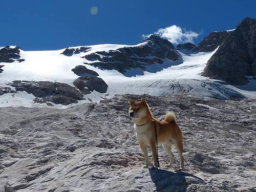 世界足球超级联赛新赛季开启，豪门强势来袭，足球超级联赛时间